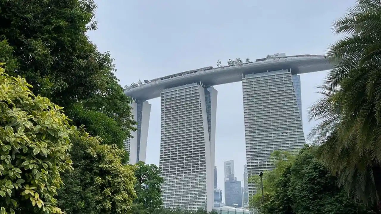 关于在万全县吧获取本地资讯与日常交流的实用指南