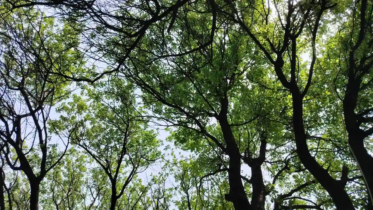 了解羞羞漫画韩的阅读场景与功能特点及使用注意事项